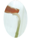 Set of 5 Food Grade High Quality Flexible Soft Ended Silicon Baby spoon Set